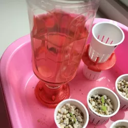 Hydroponics nutrient solution refiller (for sprout tray)