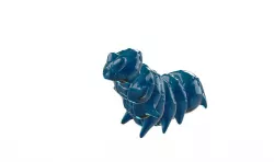 MAD WORM