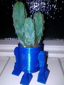 R2D2 Cactus Head