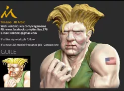 StreetFighter 2 Guile Continue ?