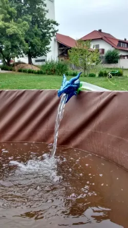 Water spitting Dragon