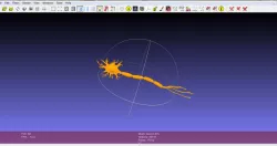 A model for a Neuron Cell