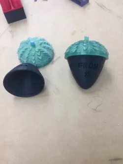 Acorn