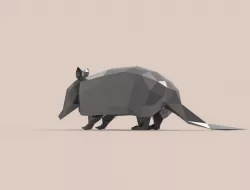 Armadillo