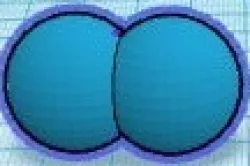 butt