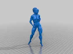 Fit figure full body 2