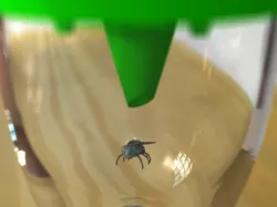 Fly away
