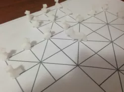 Fox and Goose (the fox game)  BoardGame 