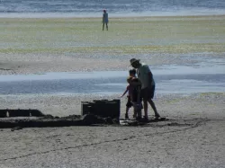 Math at the Beach