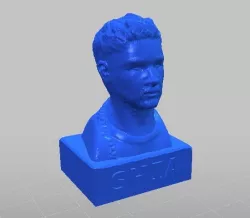 Shia LaBust