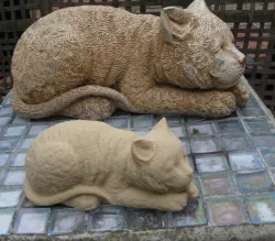 Sleeping Cat 