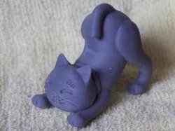 stretch cat