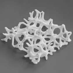 Voronoi Structure