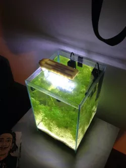Aquarium LED light fixture