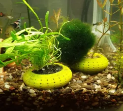 Aquarium plant pot