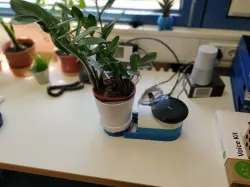 BOTani