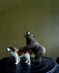 Dog and Bear having a good time