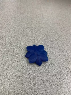 flower halves