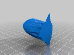 Fury Girl Head