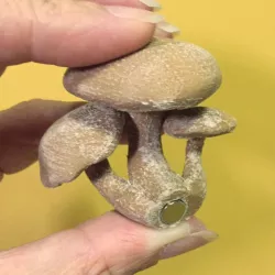 magnet_mushroom_002