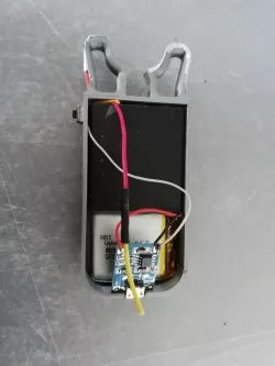 Mini Taser case 