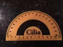 Protractor and Metric Ruler