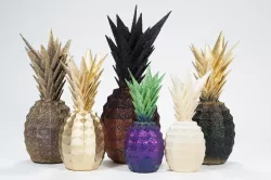 The Pineapple
