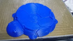Tortoise Food Bowl