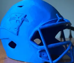 2019 NFL Cat Helmet (Unofficial)