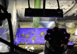 algae filter 3D Models | Page 1 | STLFinder