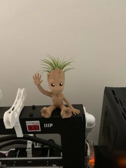 Baby Groot Waving Air Plant