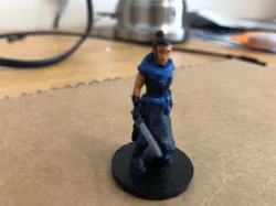 Female Monk / Ninja