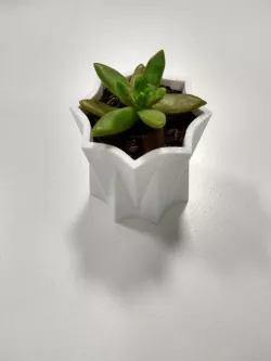Geometric Pot - Star