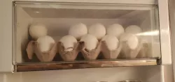 Modeler Egg storage for Fridge