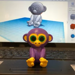 Monkey