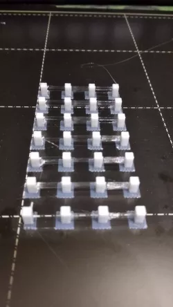 Retraction seeker