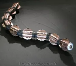 robot serpent