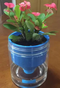 self watering flowerpot