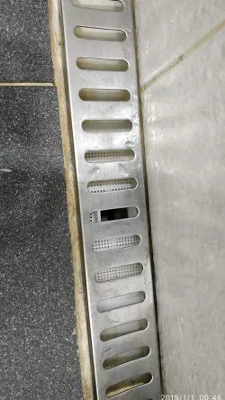 Shower drain cap