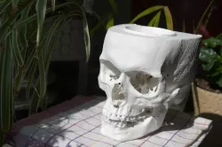 skull ashtray
