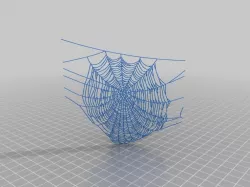 spiderweb collection