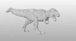 T_Rex voronoi