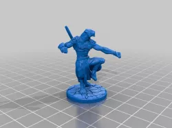 Tabaxi Monk