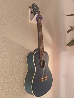 Ukulele holder