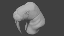 the quicksilver forums development team pacific walrus 3D Models | Page