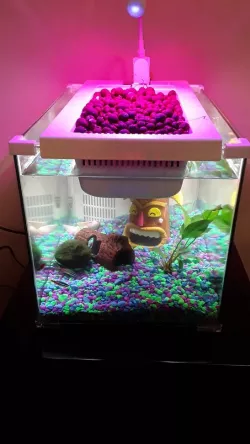 Aquarium Lid Corner Clip