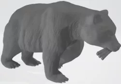 Bear walking with two ribbs (Daniel 7)