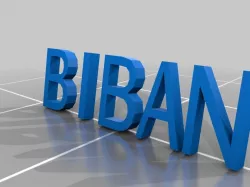 BIBAN ring