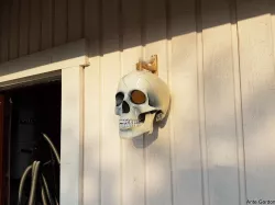Bone bracket for the Skull bird house