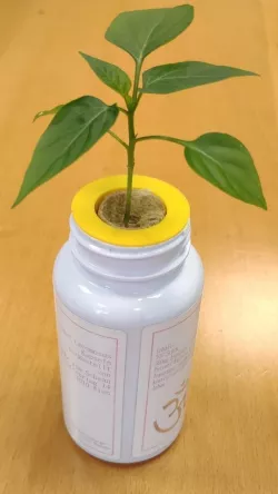 Customizable Net Cup